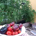 Seneberg - For Rent Δωμάτια σε οικογενειακή κατοικία Snertinge