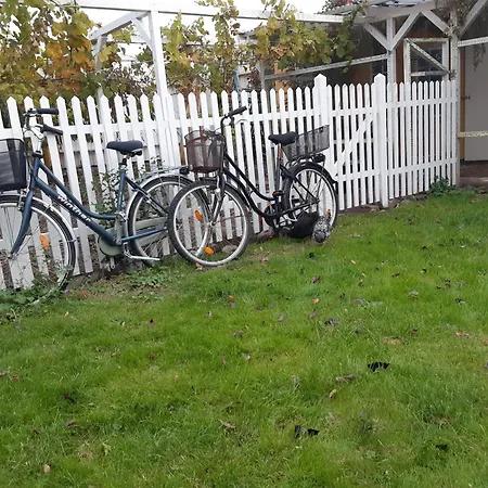 Seneberg - For Rent *