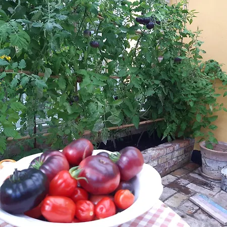 Seneberg - For Rent Privat bolig Snertinge