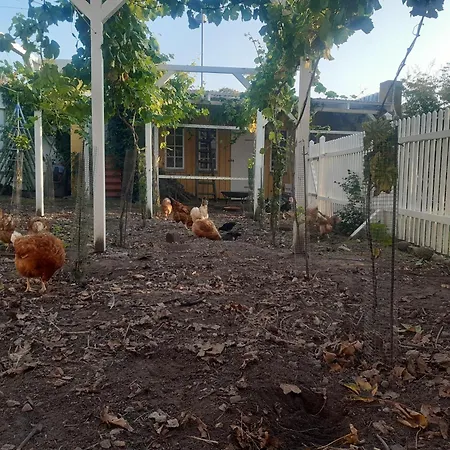 Seneberg - For Rent * Snertinge