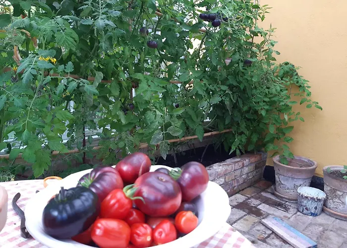 Seneberg - For Rent Ubytování v soukromí Snertinge